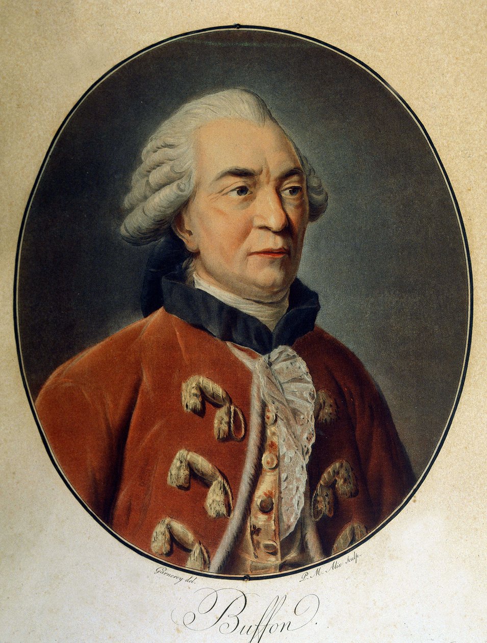 Porträt von Georges Louis Leclerc, Graf von Buffon (1707 - 1788), französischer Naturforscher und Schriftsteller von Unknown artist