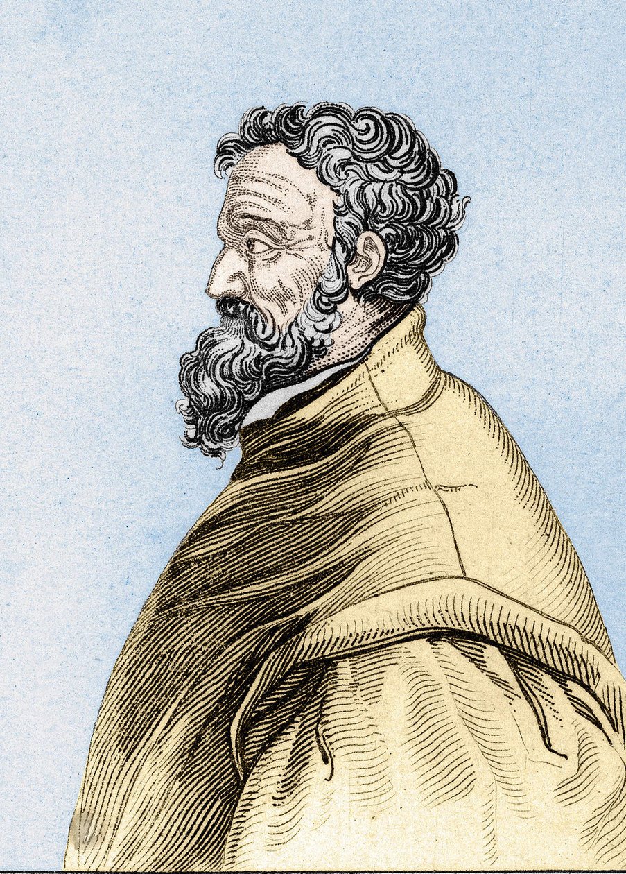 Porträt von Michelangelo Buonarroti, genannt Michelangelo von Unknown artist