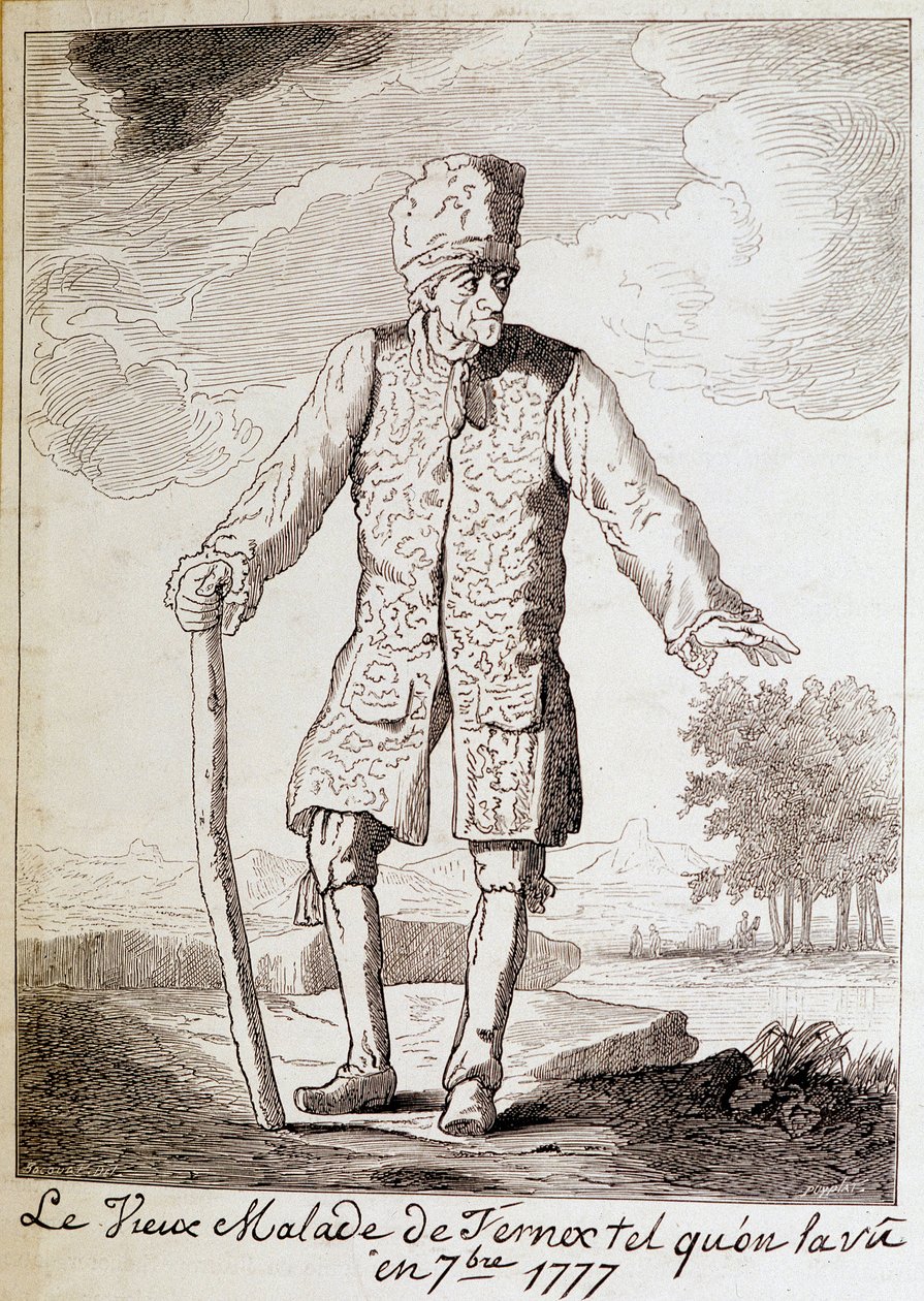 Porträt von Voltaire, französischer Schriftsteller und Philosoph, im Alter von Unknown artist