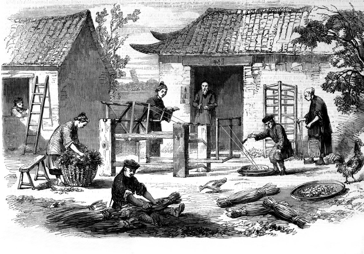 Seidenproduktion in China und die verschiedenen Herstellungsstufen von Unknown artist