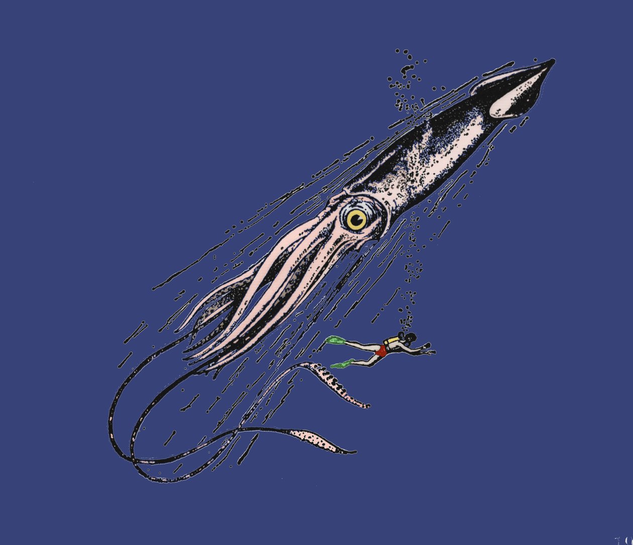 Darstellung eines Riesenkalmars (Architeuthys) im menschlichen Maßstab. 19. Jahrhundert von Unknown artist