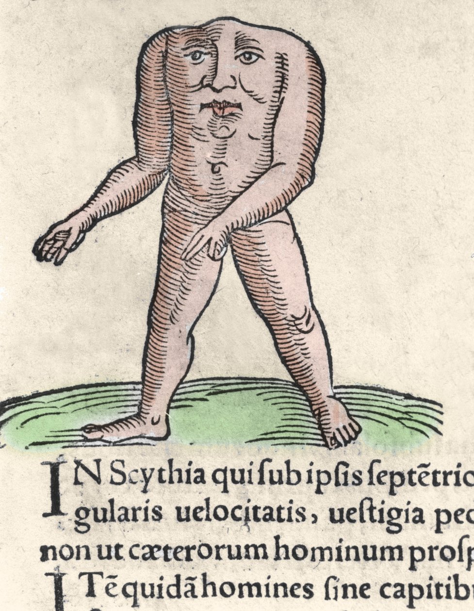 Darstellung eines Mitglieds des Blemmyi-Stammes in Nubien, beschrieben ohne Kopf, ohne Hals und Gesicht auf dem Rumpf von Plinius dem Älteren. Gravur aus „Prodigiorum ac ostentorum chronicon“ von Conrad Lycosthenes (1518-1561). 1557 von Unknown artist