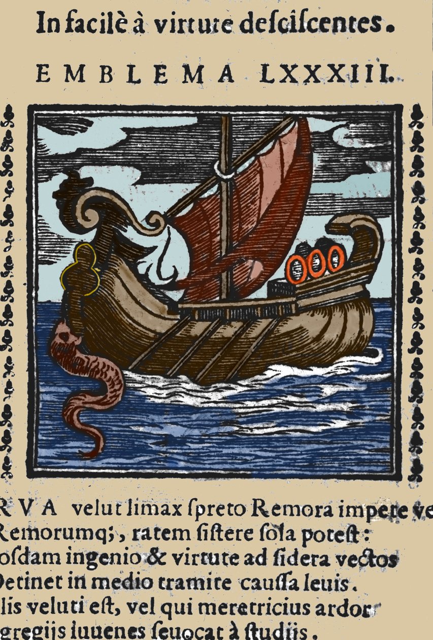 Darstellung eines Remora, der laut den Geschichten von Plinius, Ambrosius und Rabelais die Schiffe angriff, indem er seinen Schwanz mit einem Saugnapf an einem Felsen befestigte und das Schiff mit seinem Mund blockierte. Gravur aus einem Werk des 17. Jahrh von Unknown artist