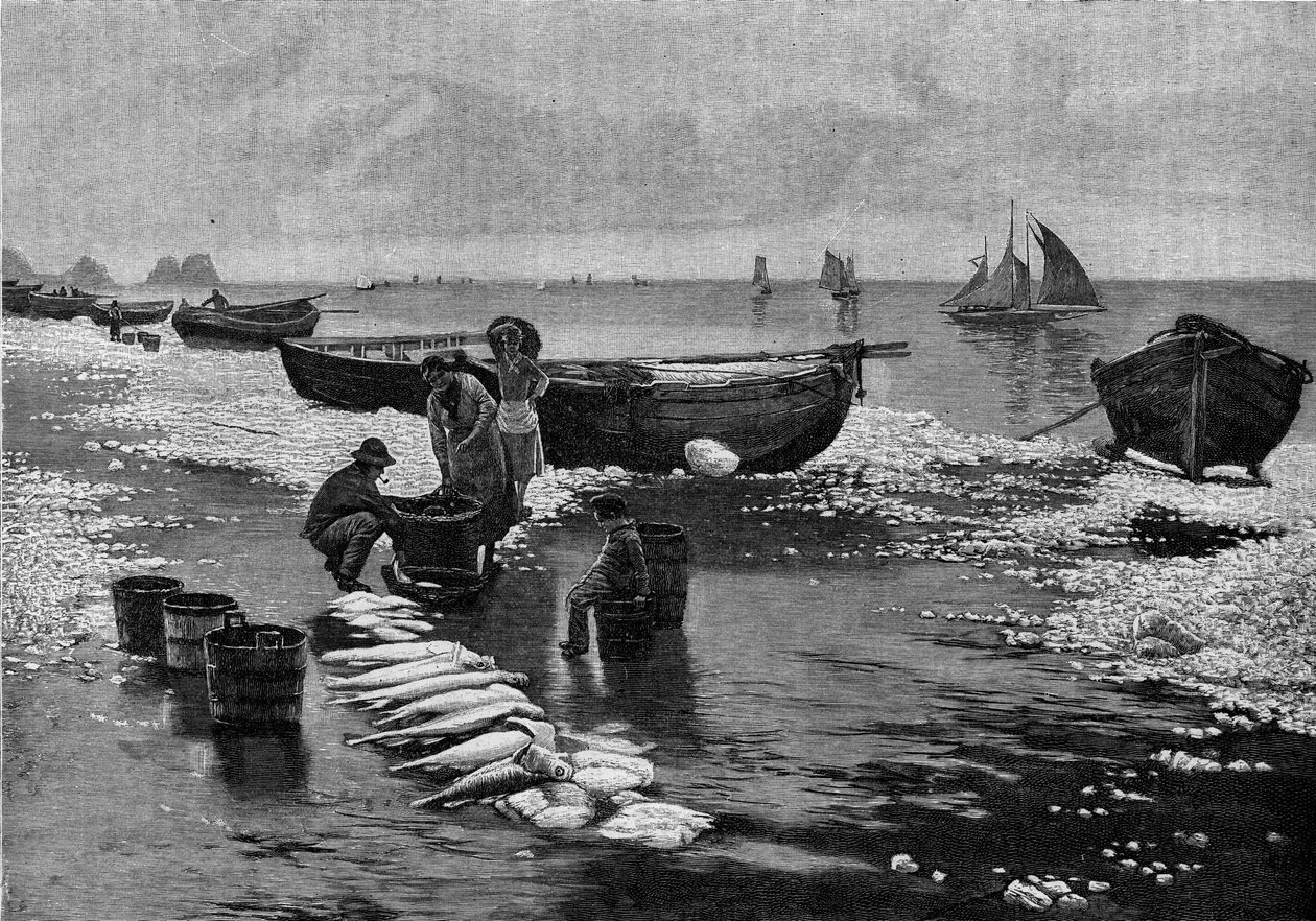 Rückkehr der Fischer am Strand von Belle Isle (Belle-Isle) in der Bretagne. Gravur in „Le Journal de la jeunesse“ von Unknown artist