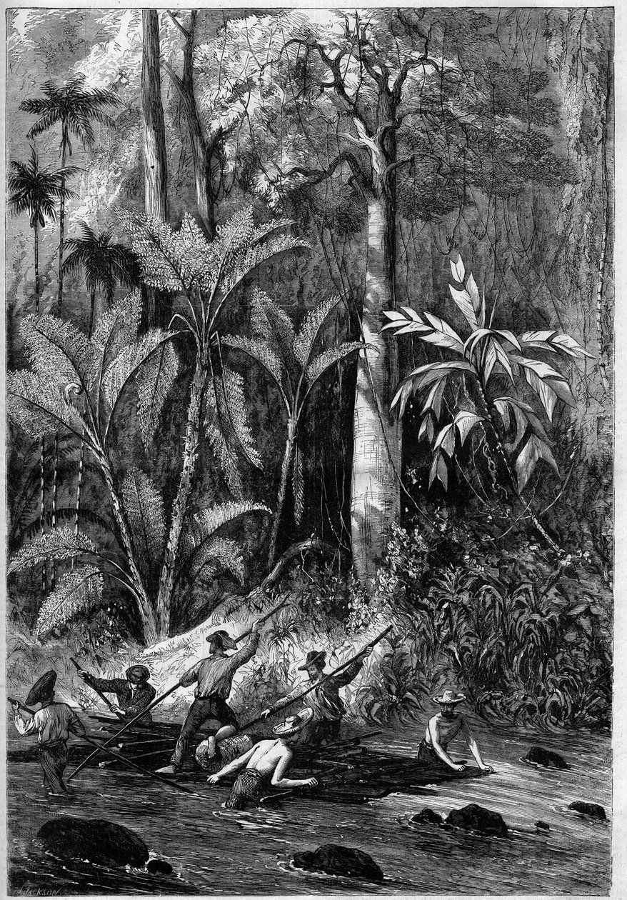 Straßenbau in Mittelamerika: Durchbruch durch den Isthmus von Panama. Floß, das den Lauf des Rama hinunterfährt. Nach einer Zeichnung eines Offiziers der Expedition von Captain Bedford Pim. Gravur in „Das illustrierte Universum“ von Unknown artist