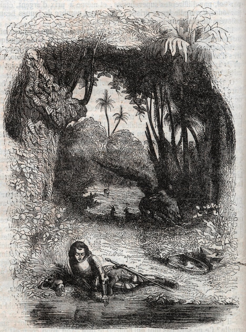 Ruggiero auf der Insel Alcina - Gravur von 1851 aus dem Gedicht Orlando furioso (1516) von Ludovico Ariosto - Ausgabe übersetzt aus dem Italienischen von Graf von Tressan und veröffentlicht von Gustave Harvard 1851 von Unknown artist