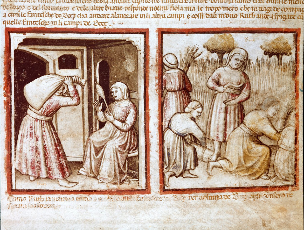 Ruth und Noemi (Naomi, Noemie) arbeiten in den Feldern von Boaz (Booz) Miniatur aus Codex 212 (oder Padovano Codice oder Bibel von Padua) 1390-1400 Rovigo, Accademia dei Concordi von Unknown artist
