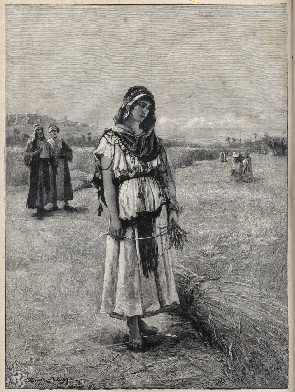 Ruth arbeitet auf dem Feld von Boaz (Booz) (Ruth und Boaz) - Gravur nach dem Gemälde von Druch-hajos von Unknown artist