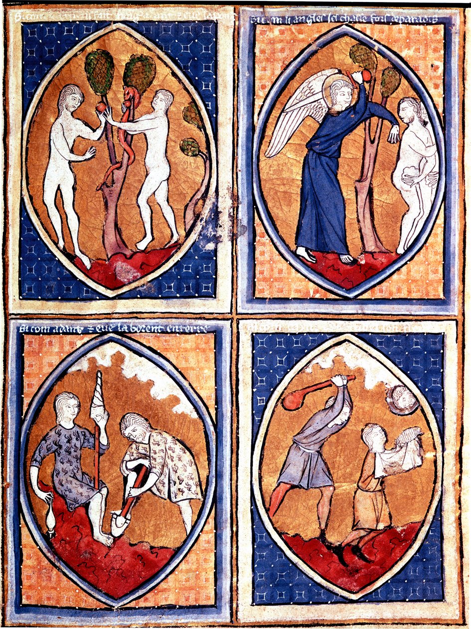 Szenen aus der Bibel in Mandorlen dargestellt. Oben Adam und Eva pflücken die verbotene Frucht, dann die Vertreibung aus dem Paradies. Unten Adam bearbeitet die Erde und Eva spinnt Wolle, Kain und Abel. Miniatur aus einem Manuskript des 13. Jahrhunderts. P von Unknown artist