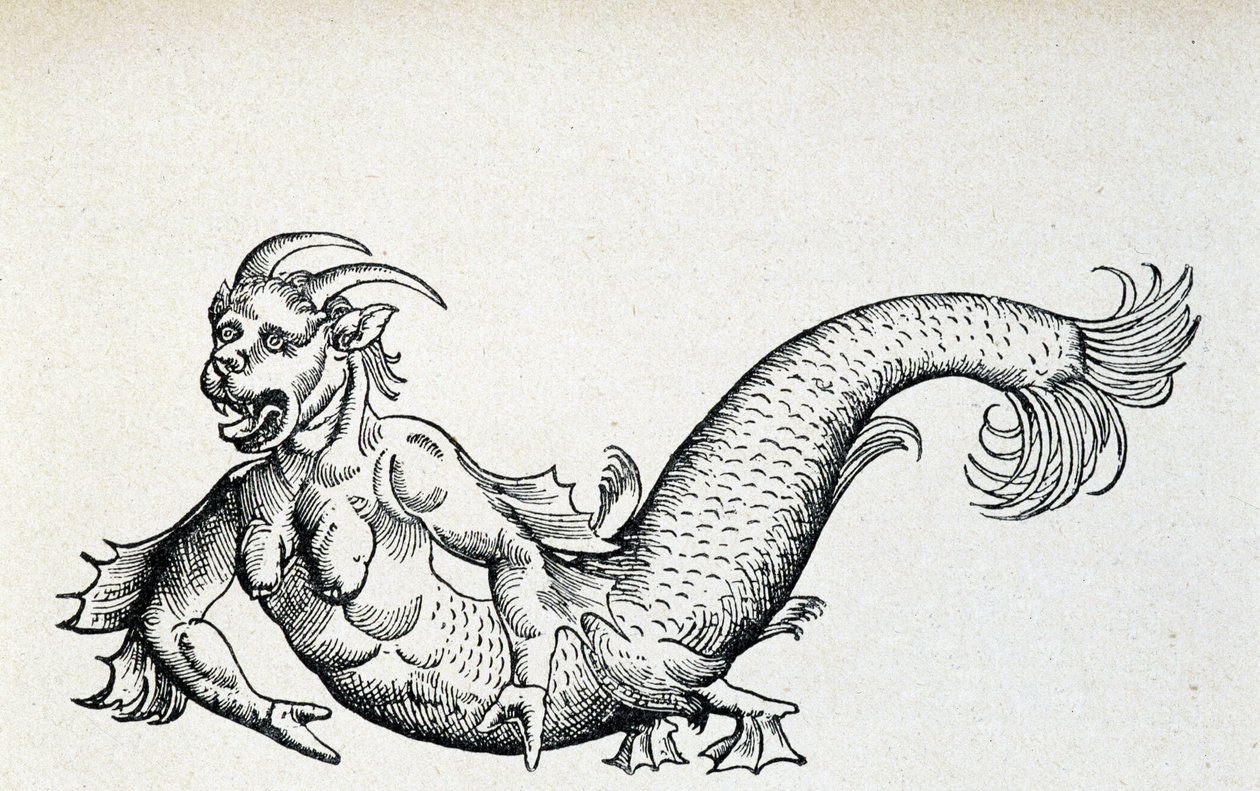 Seeteufel, angeblich Anfang des 15. Jahrhunderts in der Adria gefangen - nach Gesner von Unknown artist