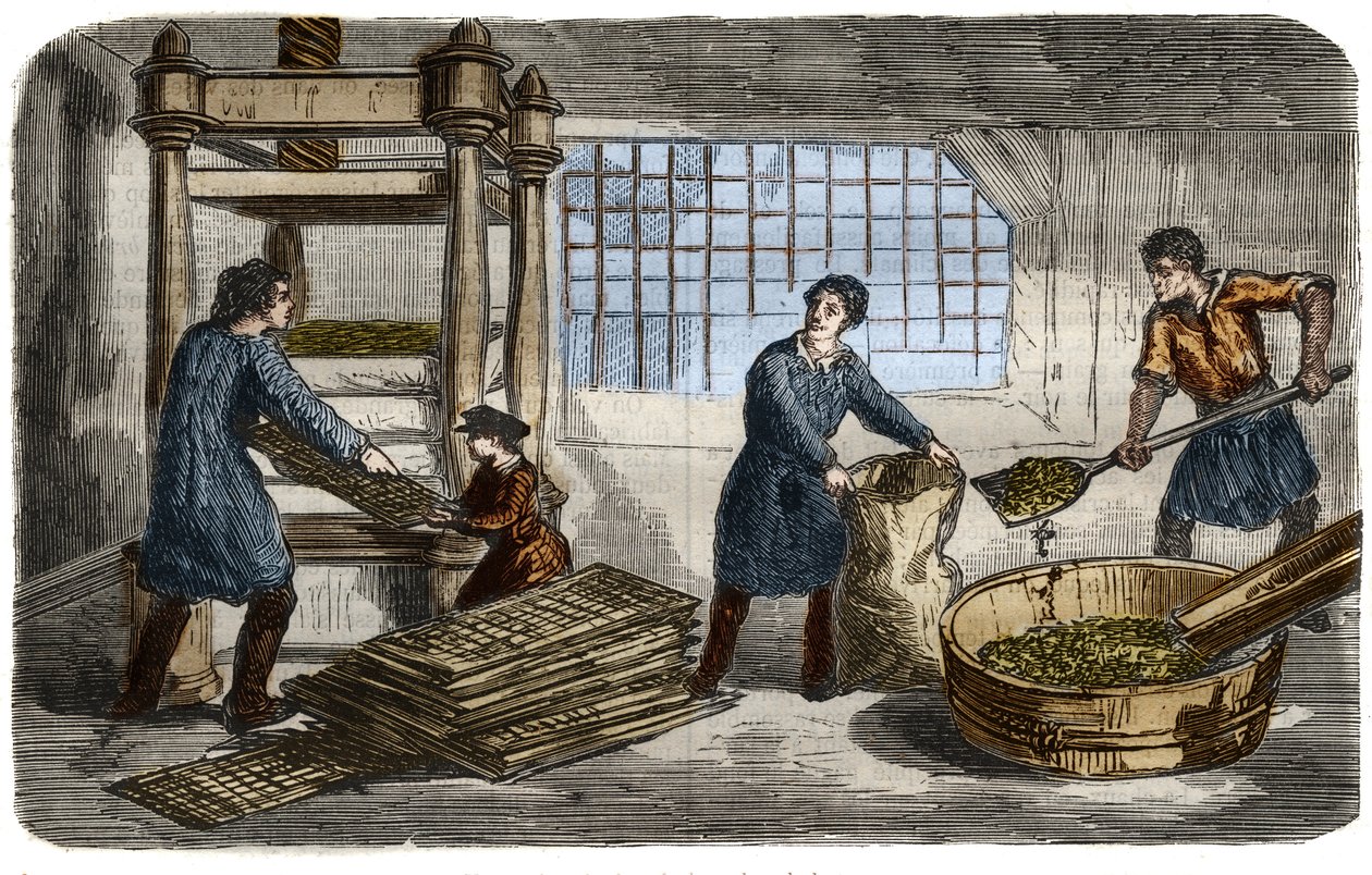 Zuckerherstellung: Saftgewinnung aus Rübenbrei. Der Brei wird in Säcke gestopft, die unter das Tablett einer hydraulischen Presse gestapelt werden. Gravur von 1859. im „Das Museum der Wissenschaften“ von Unknown artist
