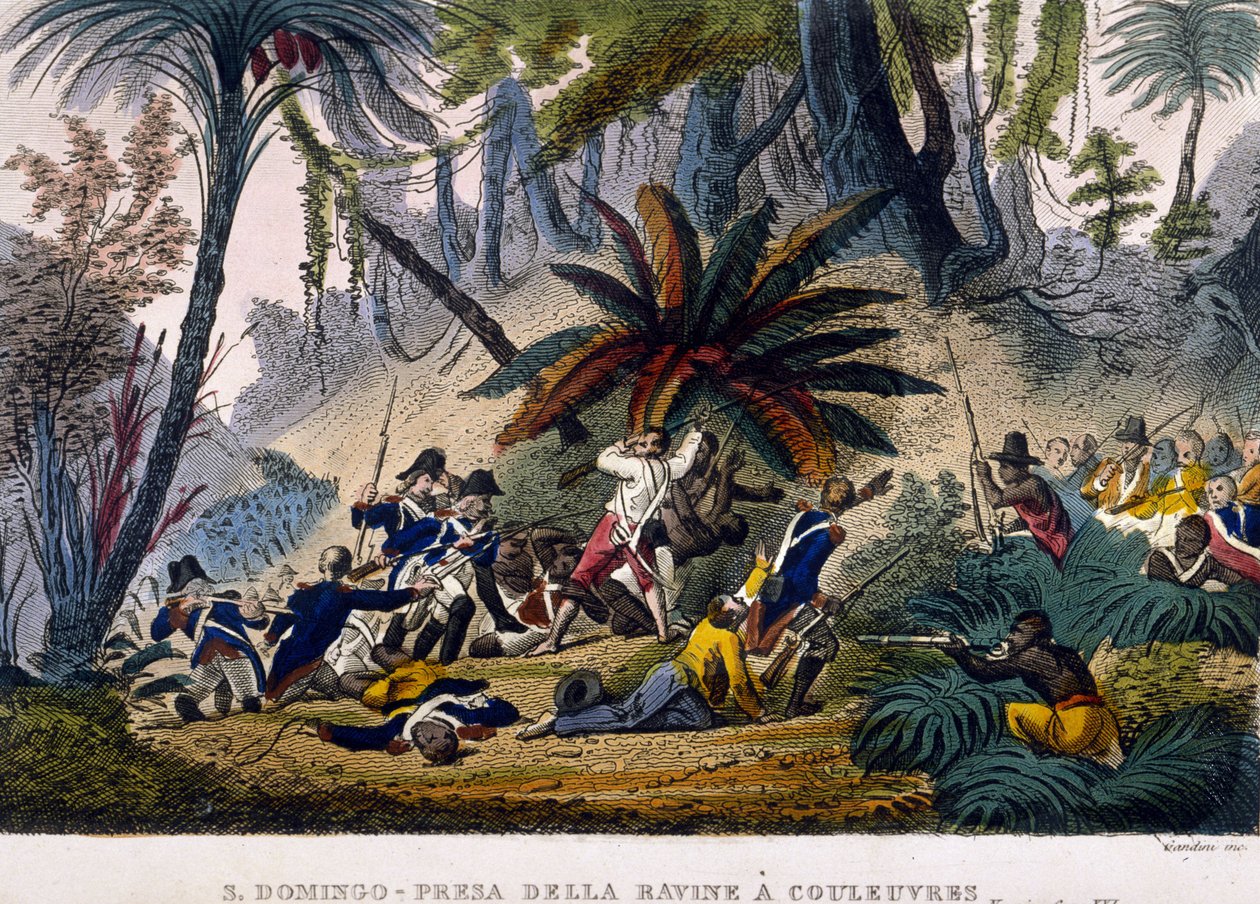 Einnahme der Schlucht bei Reuvres am 23.02.1802. Die Leclerc-Expedition, die die Truppen von François Dominique Toussaint, bekannt als „Toussaint-Louverture“, umzingelt. von Unknown artist