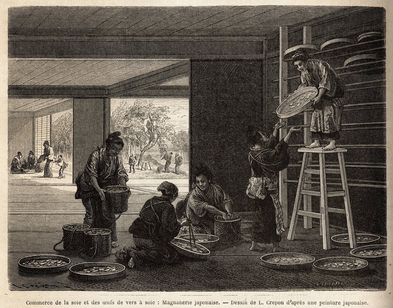 Die Zucht und der Handel mit Seidenraupenkokons: eine Magnanerie für die Seidenraupenzucht, mit im Hintergrund der Anbau von Maulbeerbäumen, die für die Fütterung von Bombyx unerlässlich sind. Gravur zur Illustration der Reise nach Japan, von Aime Humbert, von Unknown artist