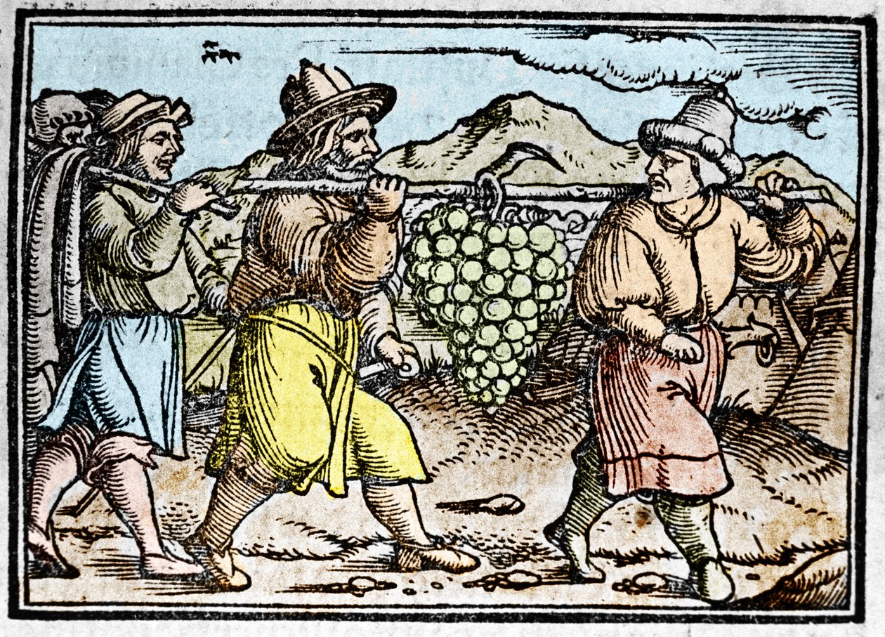 Die Rückkehr von Josua und Kaleb mit einer riesigen Traube aus dem Land Kanaan (Gelobtes Land). Chronik von Johann Stumpff „Den edlen strucen besten fromen“ von Unknown artist