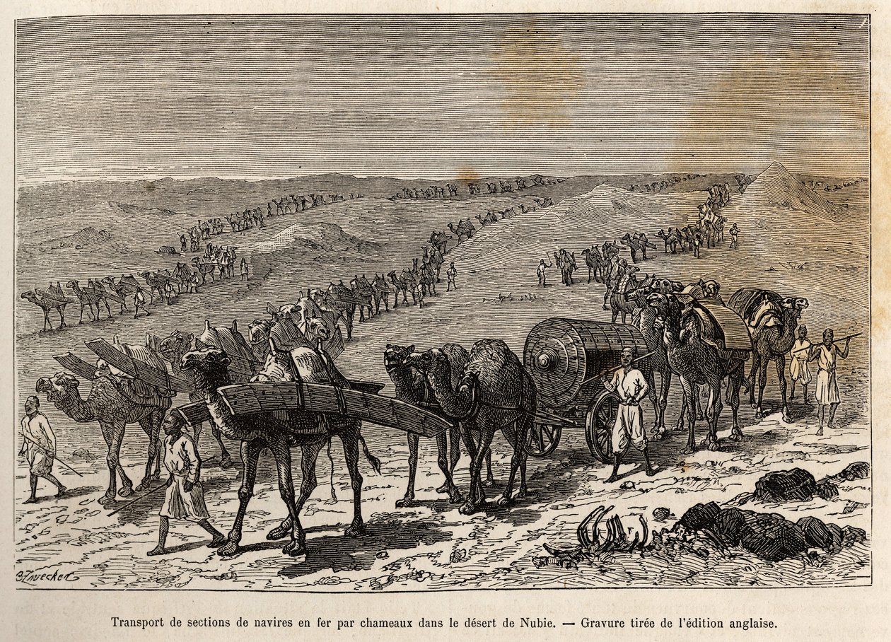 Transport von Eisenschiffteilen durch Kamele in der Wüste von Nubien (Sudan), Gravur zur Illustration einer bewaffneten Expedition in Zentralafrika zur Unterdrückung des Schwarzhandels von Unknown artist