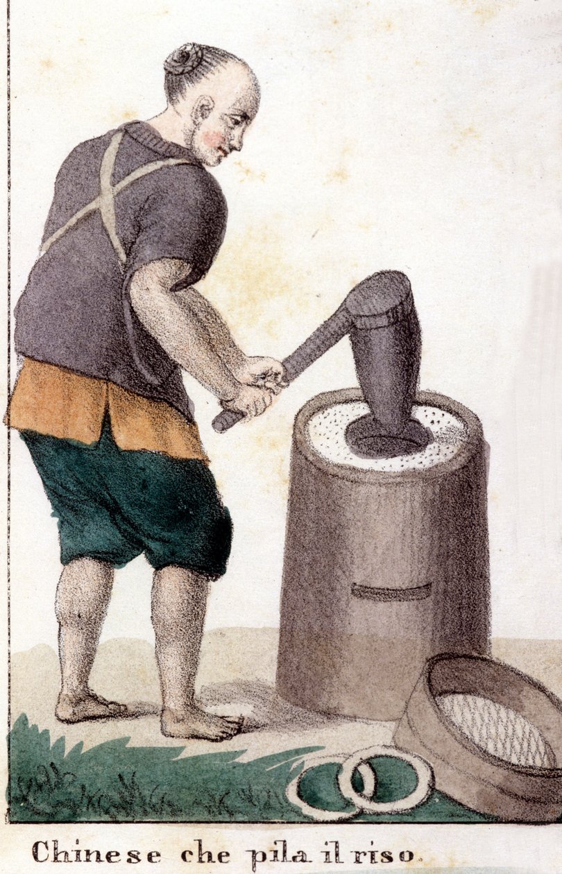 Ein Chinese, der Reis plündert - in Il costume universale di tutti i popoli del mondo (Die universelle Tracht aller Völker der Welt) von Unknown artist
