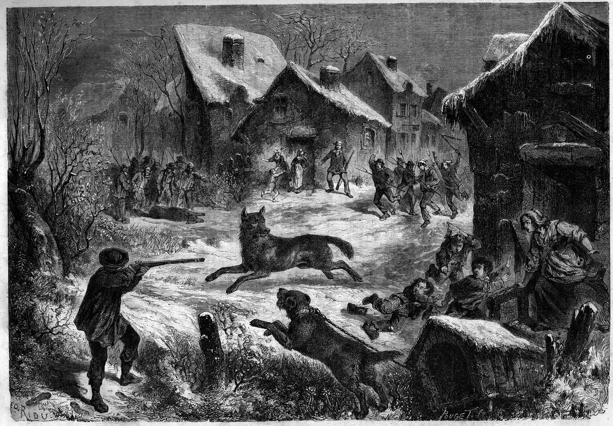 Wolfsjagd im Dorf Saliers, Bouches du Rhône (13), 31. Dezember 1860. Gravur in 