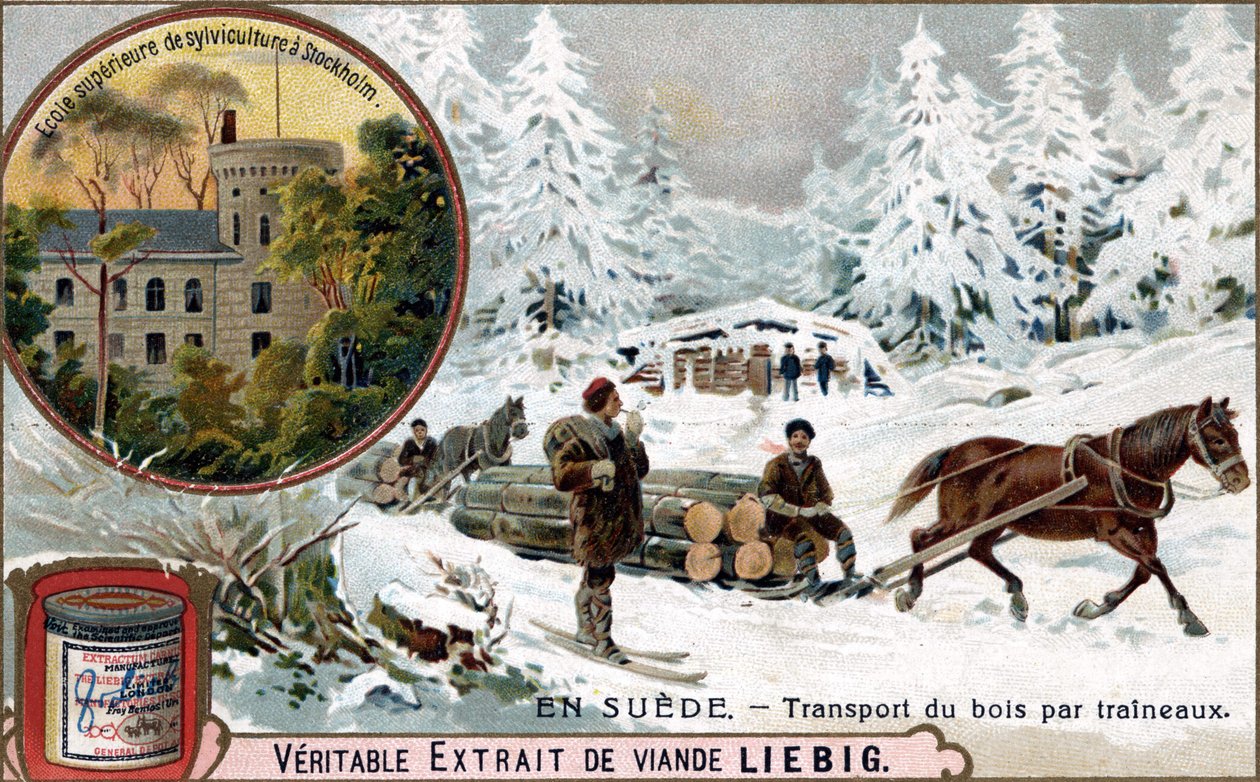 Holztransport mit Schlitten, Schweden. Chromolithographie, Liebig-Bild. von Unknown artist