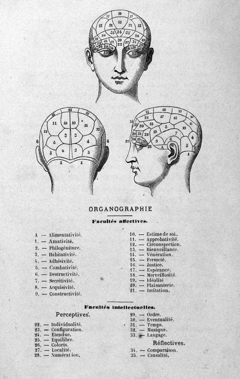 Illustration aus Charles Rouvins Buch von 1873 Organographie La Tête humaine, illustrierte Studien der Phrenologie und Physiognomie angewendet auf berühmte Persönlichkeiten Paris 1873 von Unknown artist