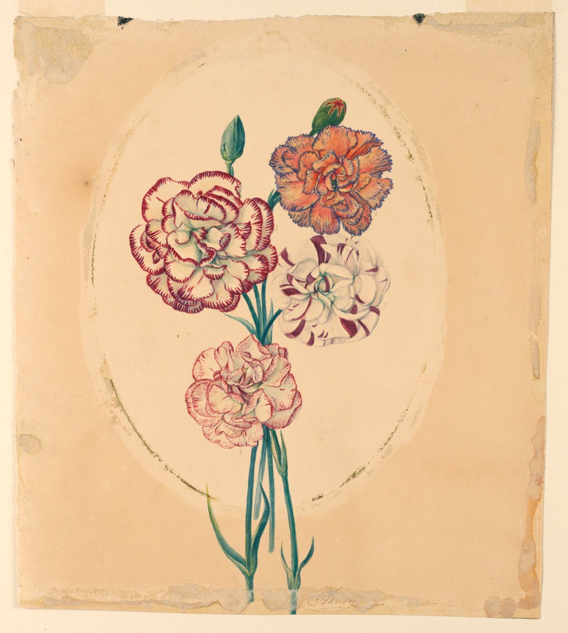 Ein Strauß aus vier Nelken von Unknown artist