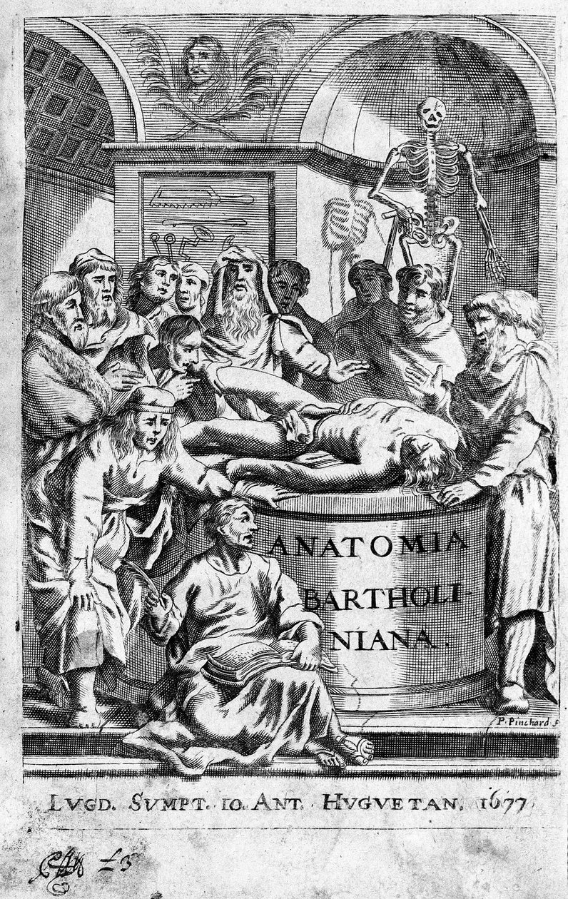 Eine Anatomielektion. Frontispiz aus „Anatomia Reformata“ von Thomas Bartholin (1616-80) (Bartholinus) 1677 von Unknown artist