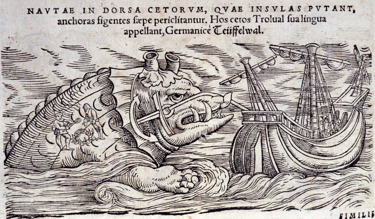 Ein Wal, der mit einer Insel verwechselt wird. Zwei Personen entzünden ein Feuer auf dem Rücken eines Meeresmonsters. Gravur in „Historia Animalium“ von Conrad Gesner (1516-1565), Tiguri von Unknown artist