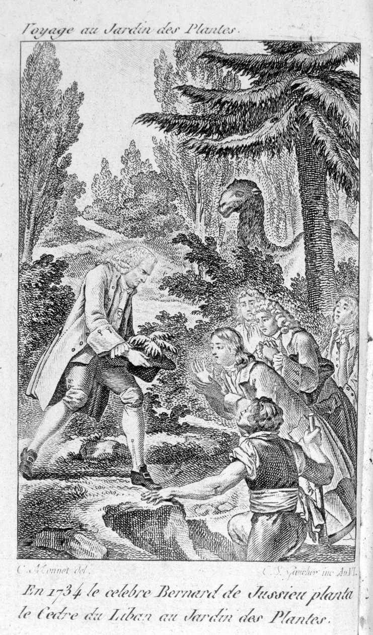 Bernard de Jussieu pflanzt eine Zeder aus dem Libanon im Jardin des Plantes in Paris von Unknown artist