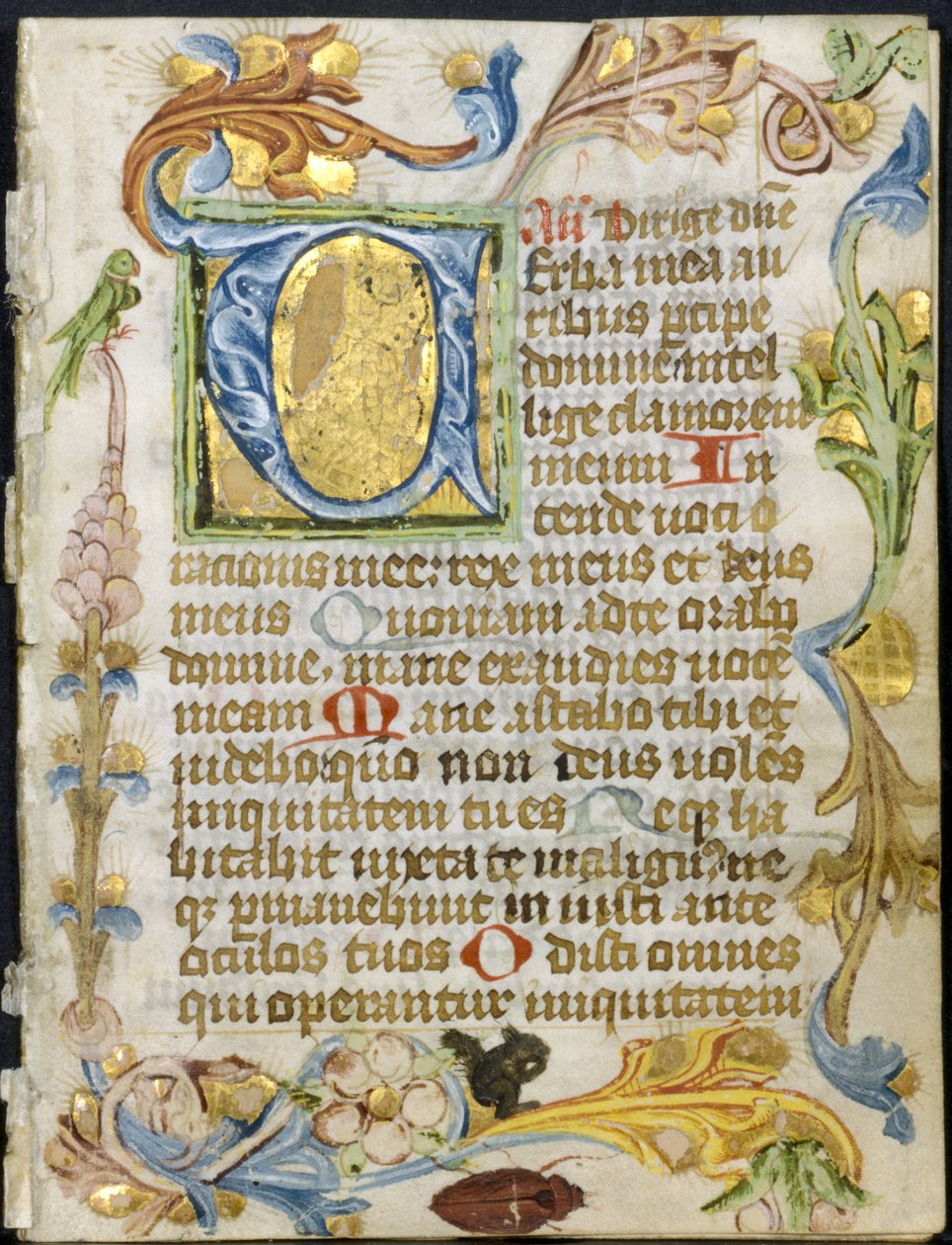 Bifolio aus einem Stundenbuch: Initiale V mit Blumenrand von Unknown artist