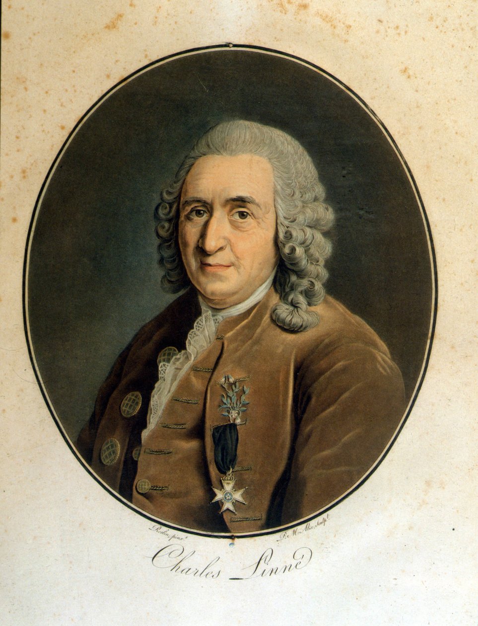 Carl von Linné, schwedischer Naturforscher und Schriftsteller (1707 - 1778) von Unknown artist