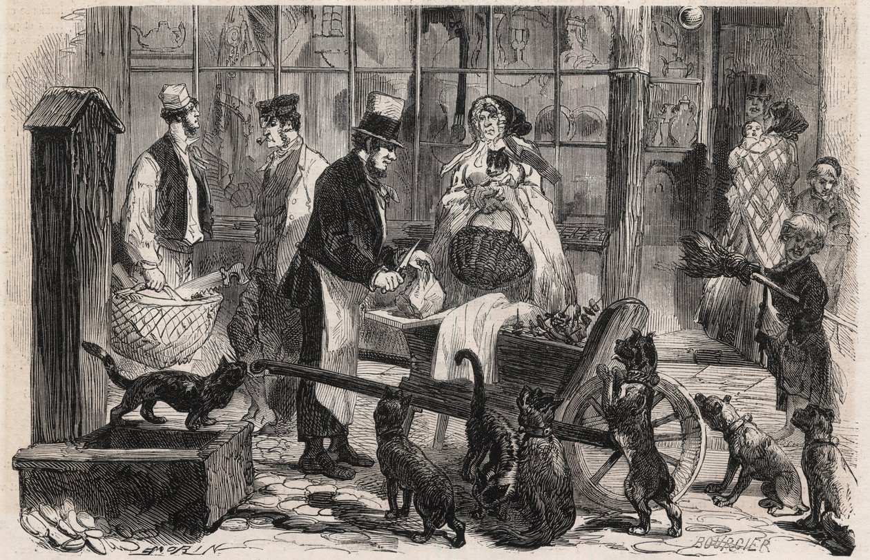 Katzenfleischmann auf einer Straße im Westminster-Viertel von London, ein gehender Pferdefleischhändler für Hunde und Katzen - Gravur in „The Illustrous World“ von Unknown artist