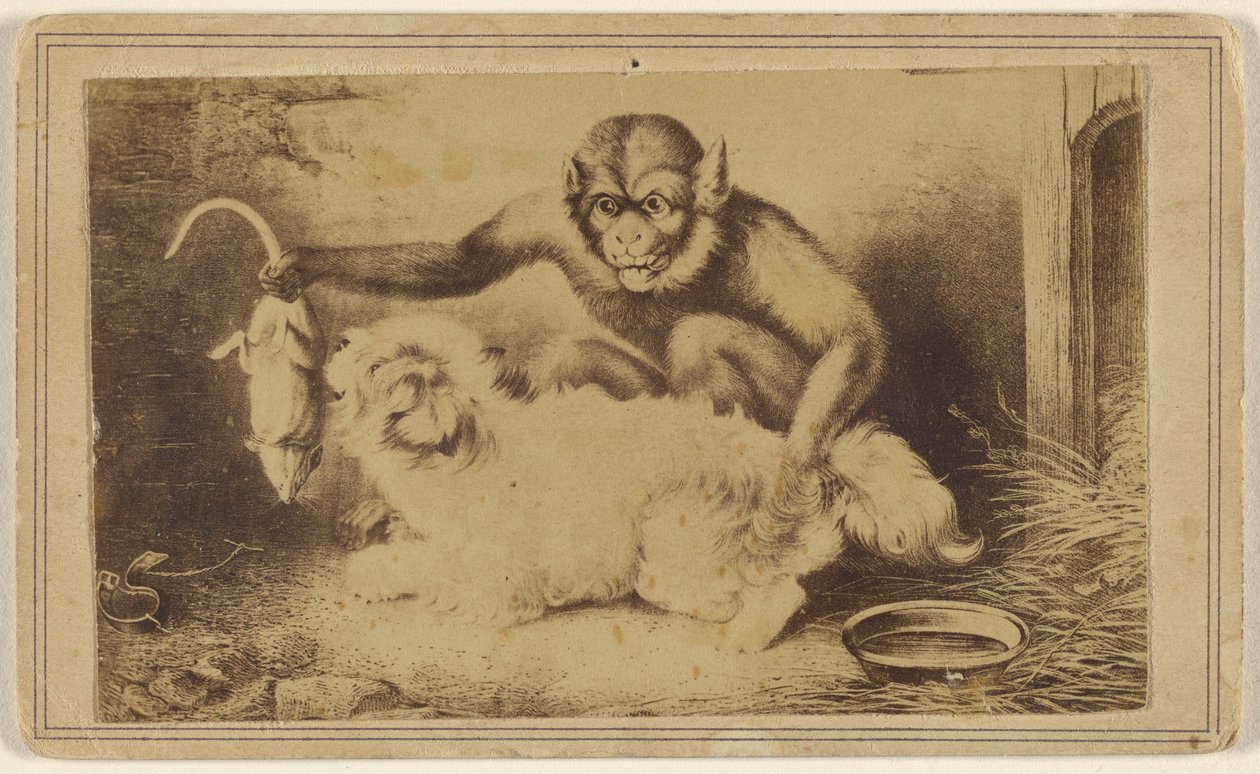Kopie eines Gemäldes, das einen Affen zeigt, der eine Ratte am Schwanz vor einem kleinen weißen Hund hält von Unknown artist