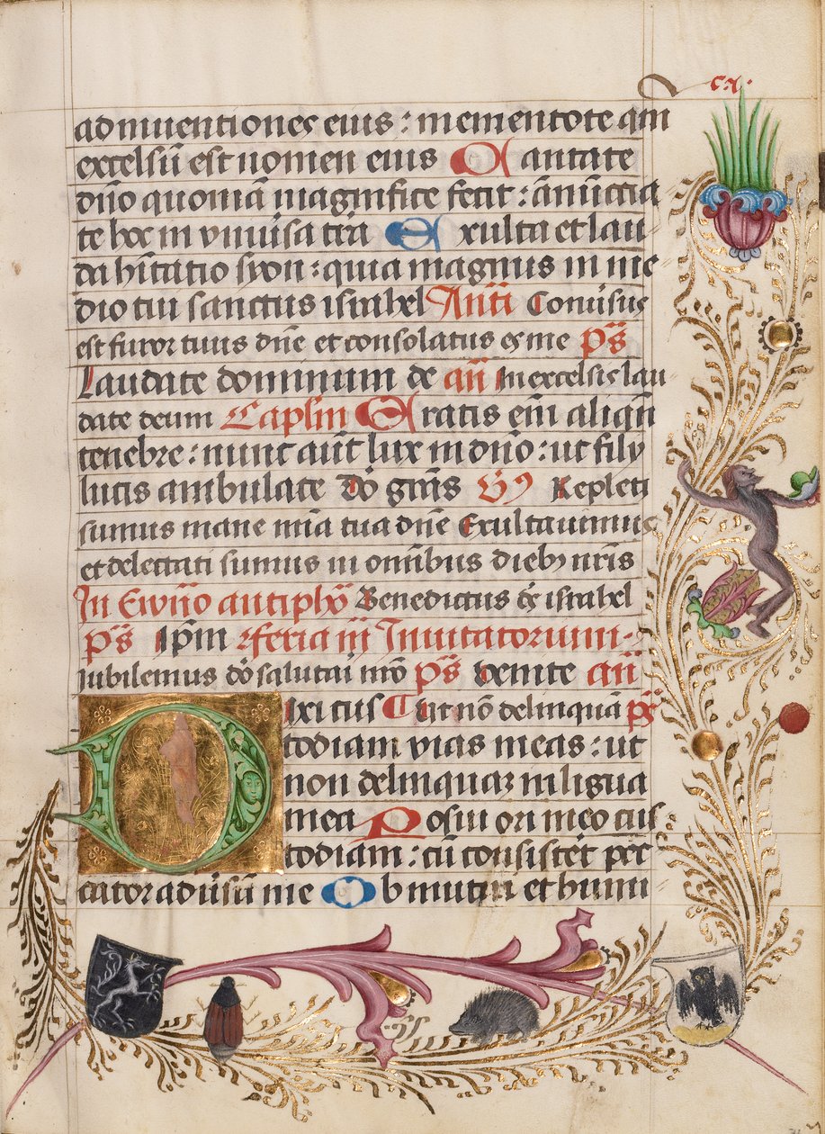 Geschmückte Initiale D von Unknown artist