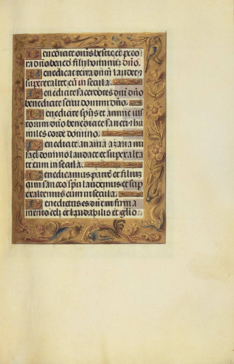 Geschmückte Textseite von Unknown artist