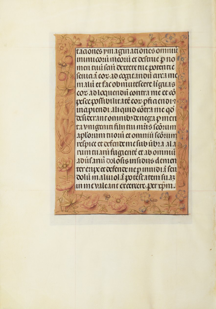 Geschmückte Textseite von Unknown artist