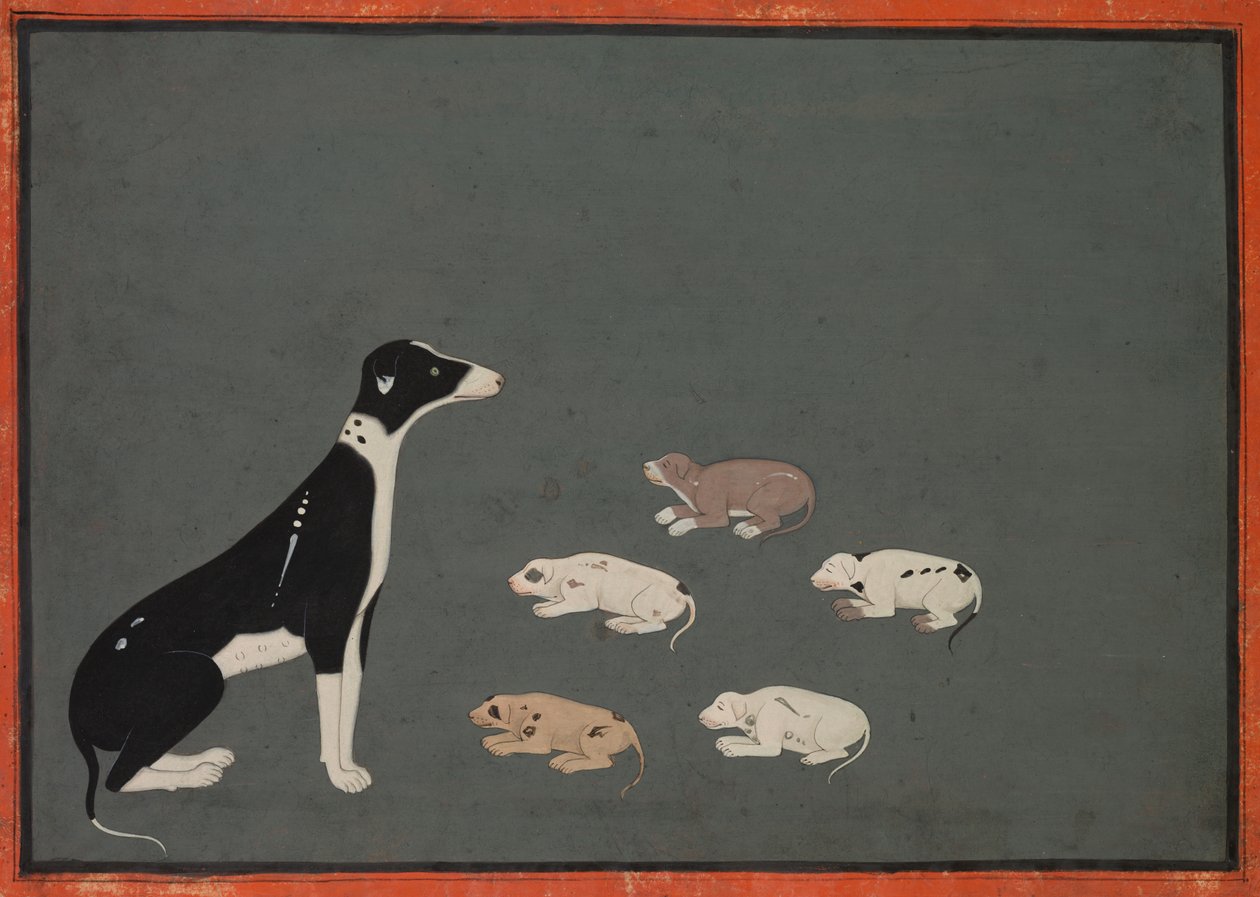Hund mit Welpen von Unknown artist
