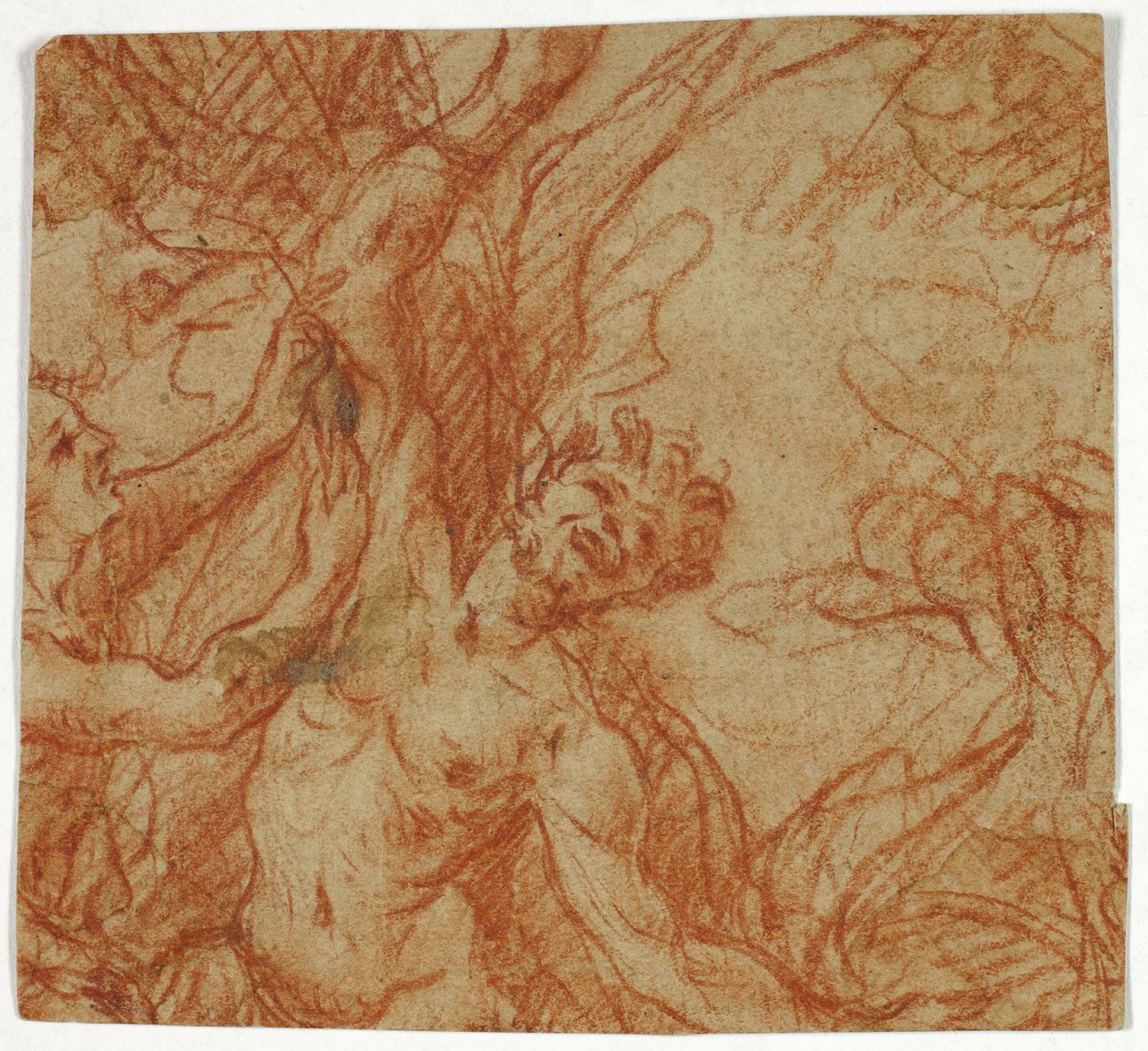 Die Häutung des Marsyas von Unknown artist