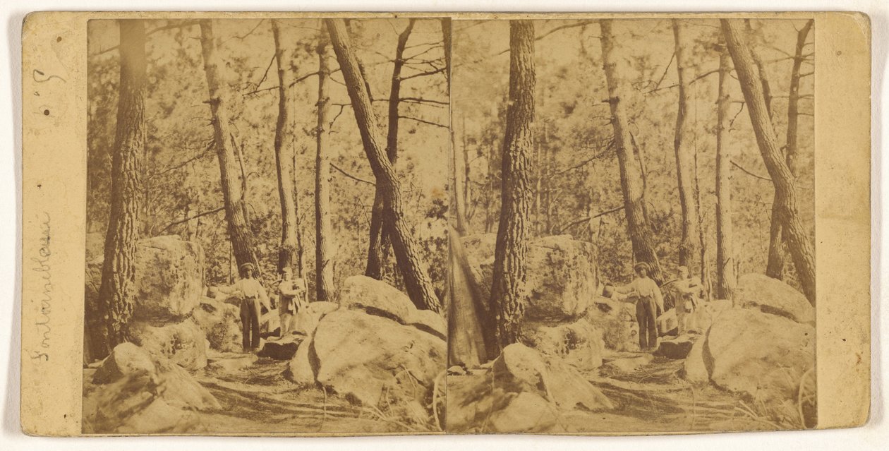 Fontainebleau von Unknown artist