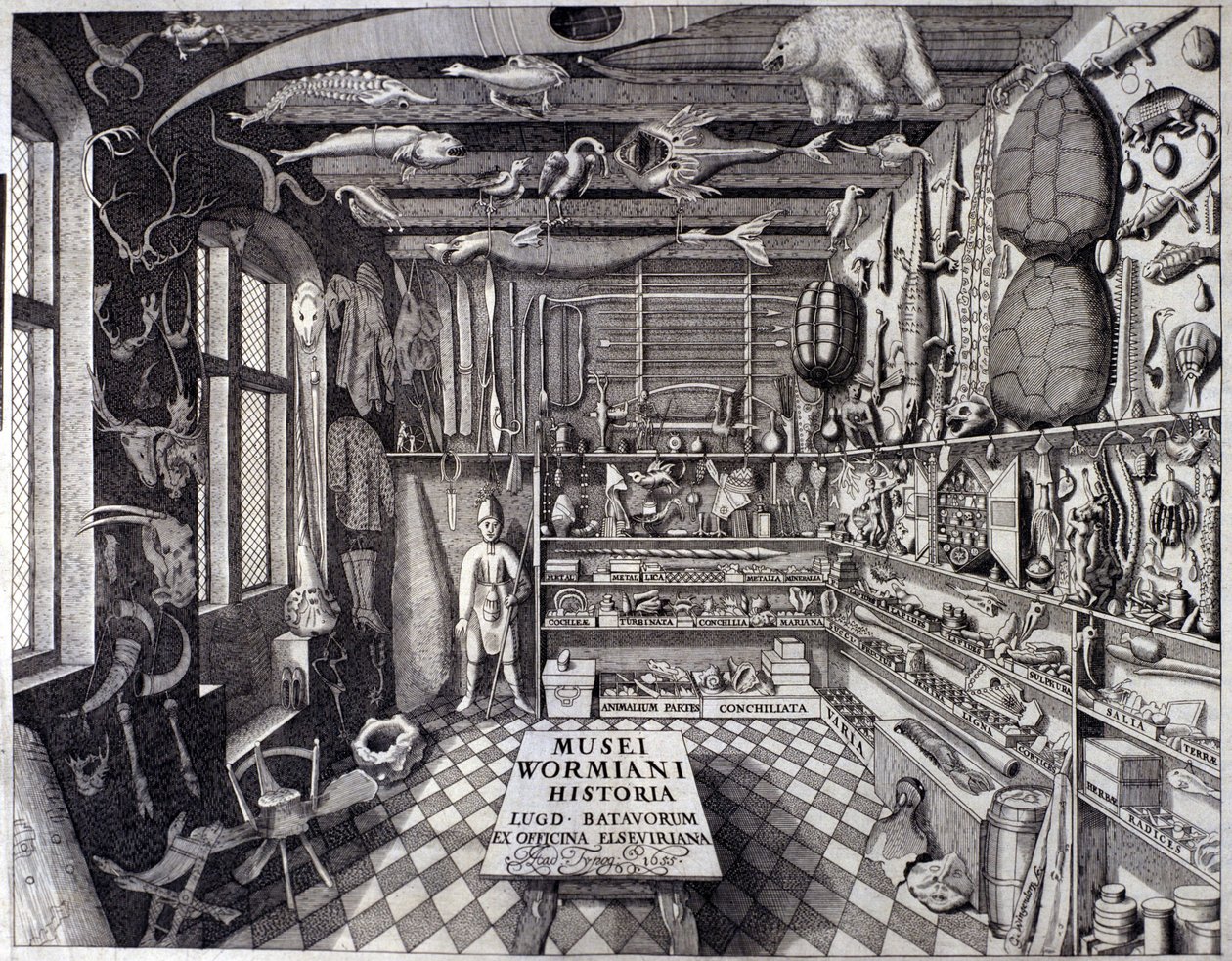 Frontispiz von Musei Wormiani Historia, zeigt das Innere des Kuriositätenkabinetts von Ole Worm von Unknown artist