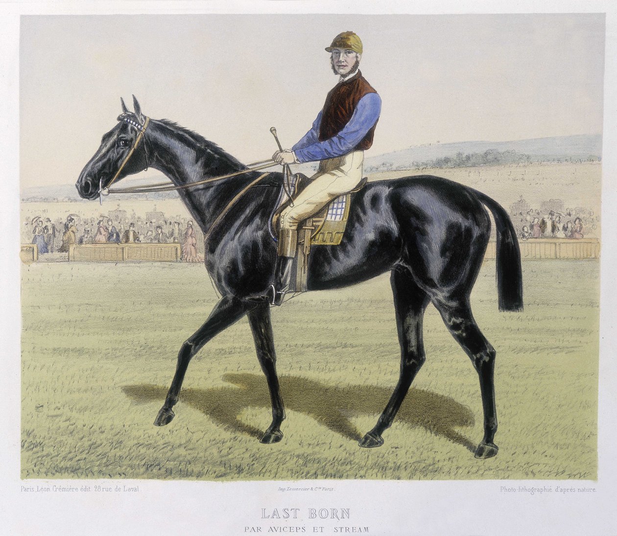 Reiten: Letztgeborener - in „the Centaure“ von Unknown artist