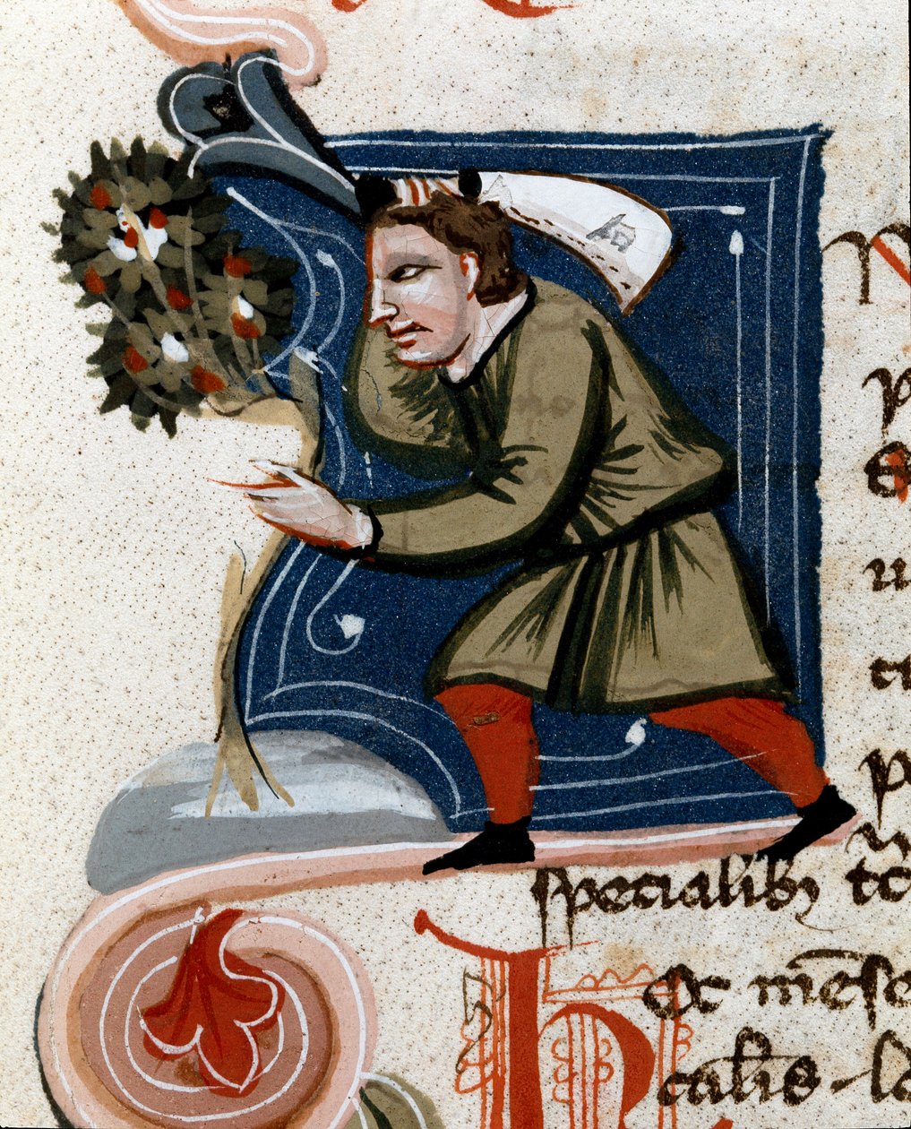 Gartenbau: Ein Baum wird eingetopft. Detail. Manuskriptseite (MS.s.vi) „Agrartraktat“ (Trattato di agraria) von Pietro de Crescenzi (1233-1320) 14. Jahrhundert von Unknown artist