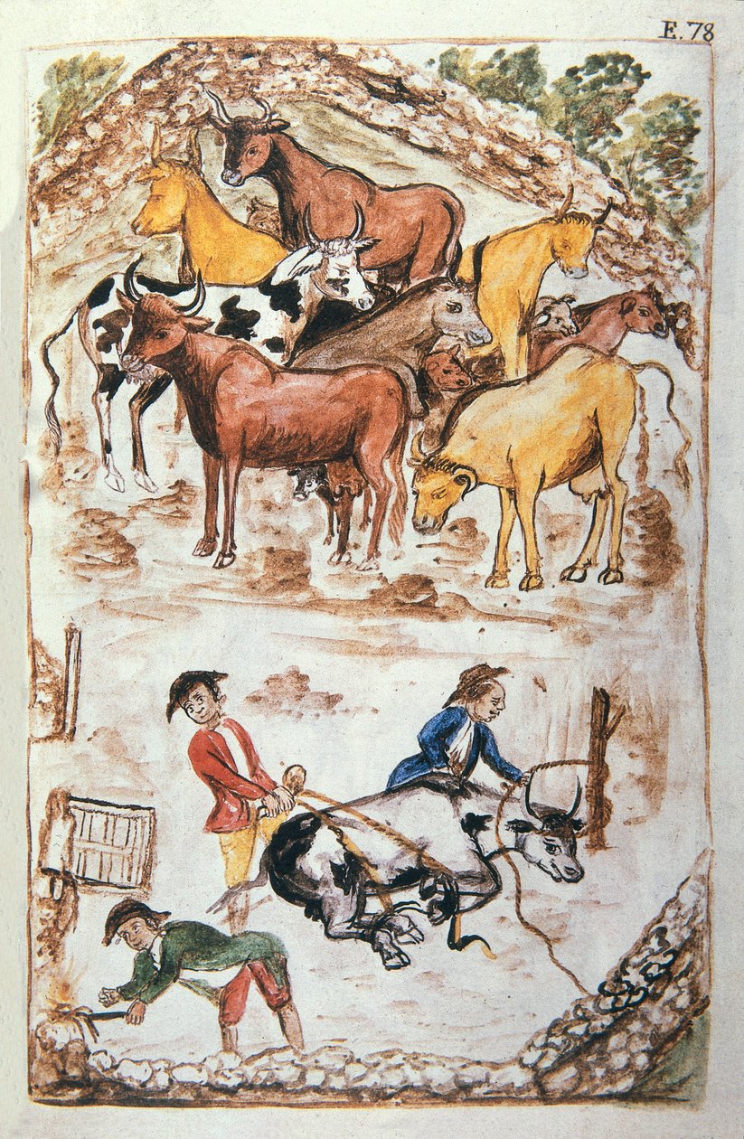 Indische Kuhhüter, aus dem Buch "Trujillo del Peru" oder "Códice Martínez Compañón", von Baltazar Martinez Compañón y Bujanda, Bischof von Trujillo (1782-1785) von Unknown artist