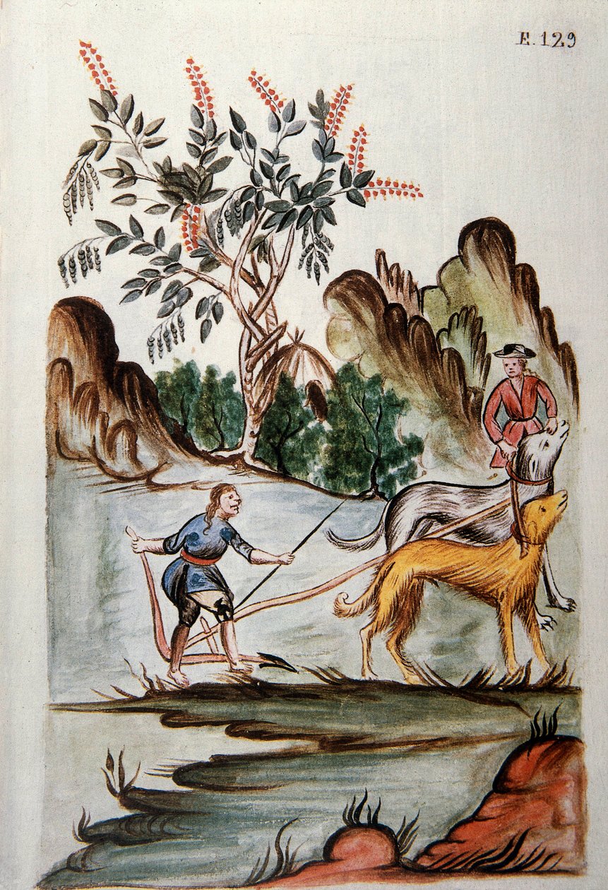 Indianer pflügen ein Feld mit Hunden, aus dem Buch „Trujillo del Peru“ oder „Códice Martínez Compañón“, von Baltazar Martínez Compañón y Bujanda, Bischof von Trujillo (1782-1785) von Unknown artist
