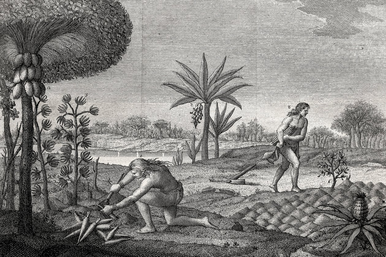 Indigene arbeiten das Land im Orinoco-Becken von Kolumbien. Gravur 1780 von Unknown artist