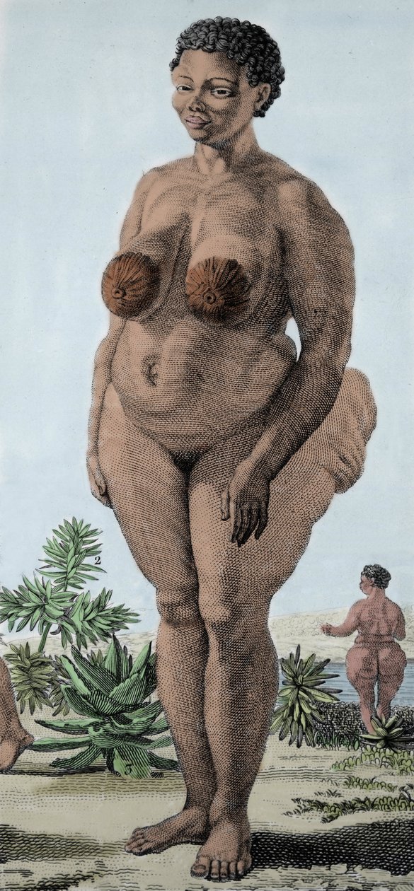 La Venus Hottentote, Frau der Bochiman-Rasse; (Die Hottentotten-Venus), Gravur von 1815 von Unknown artist