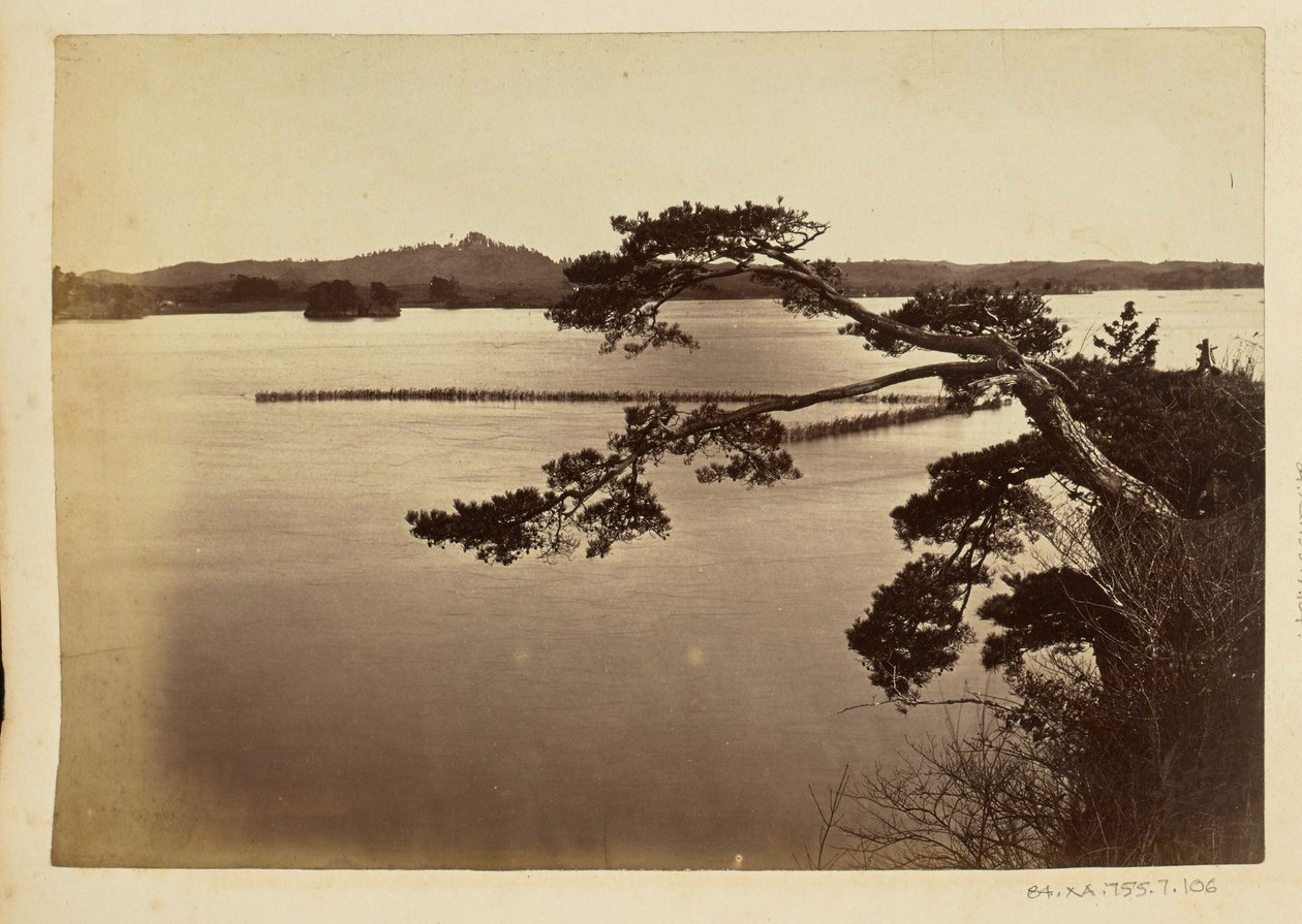 [Landschaft mit See und Bäumen] von Unknown artist