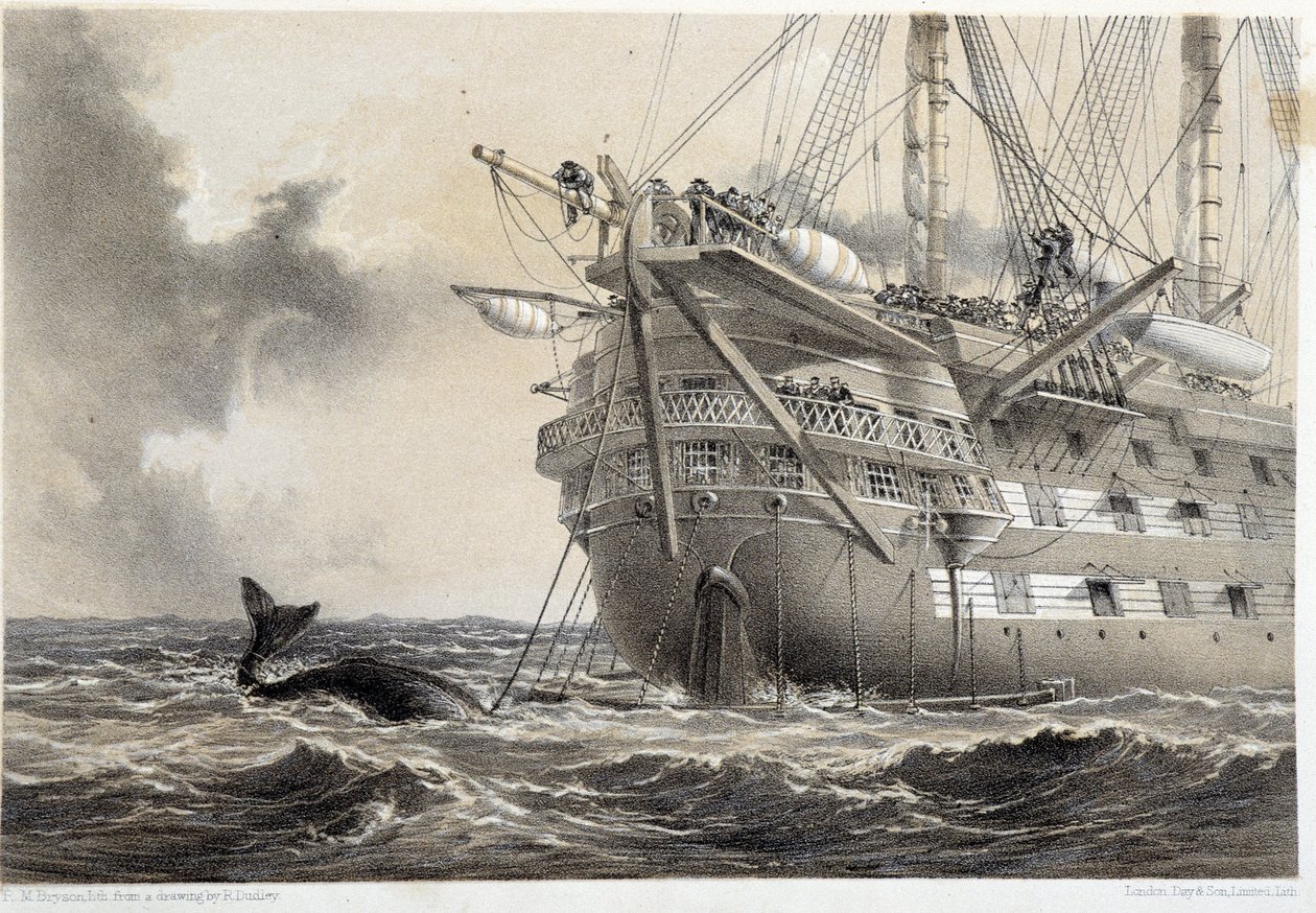 Verlegung des Atlantischen Telegraphenkabels, ein Wal um das Boot von Unknown artist