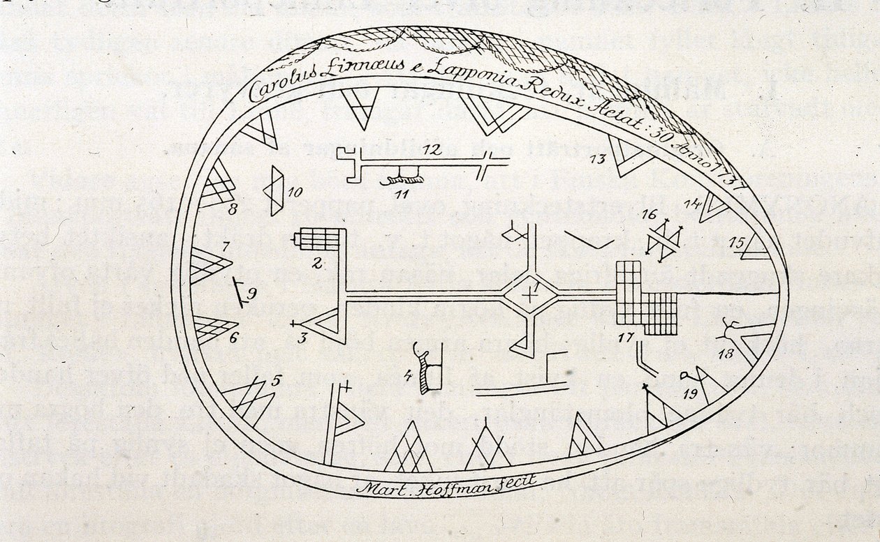 Magische Trommel der Schamanen in Lappland, Illustration eines Buches über Linnés Reise. von Unknown artist