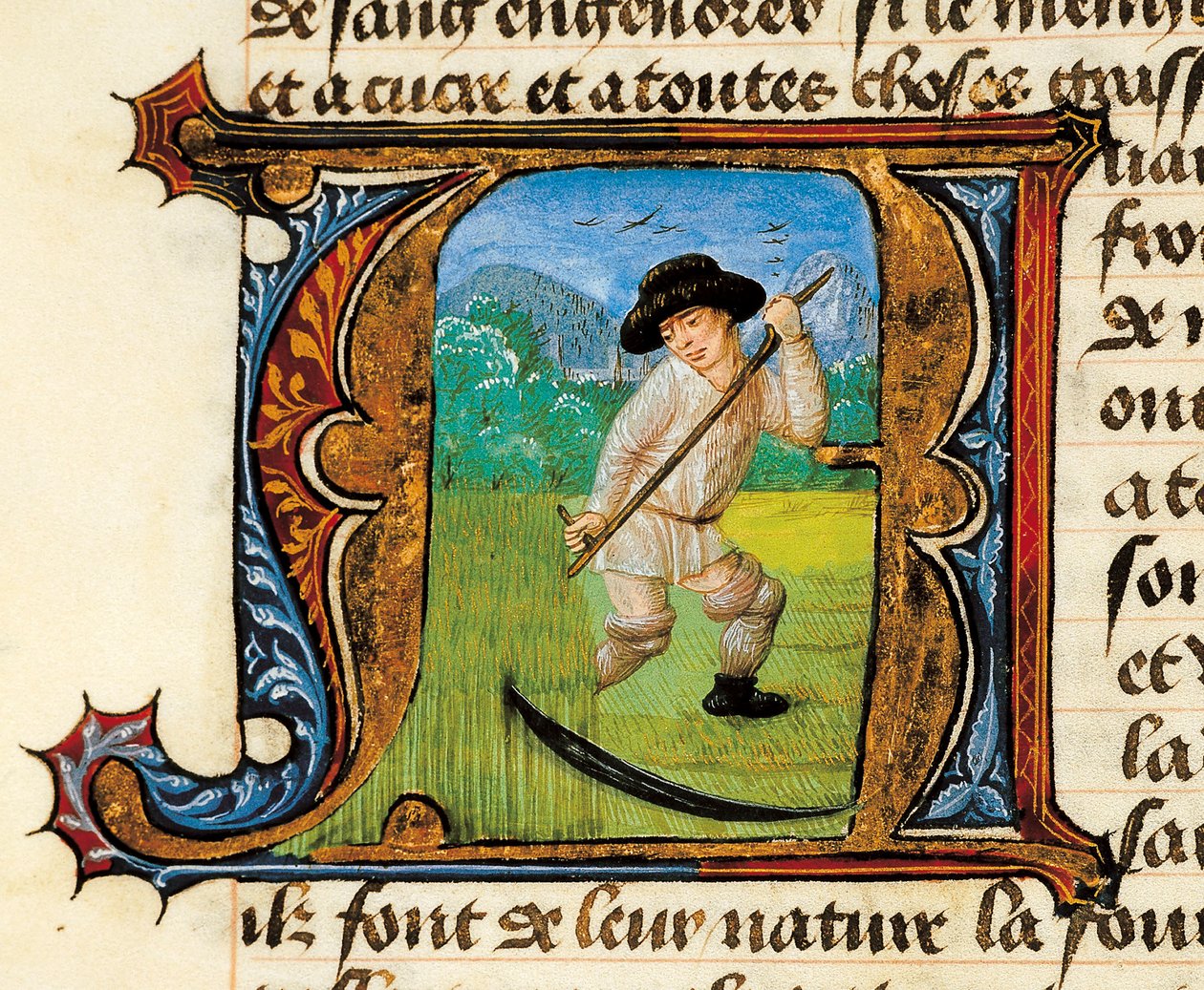 Medizin: Ein Bauer mäht das Weizenfeld. Miniatur aus dem Traktat über die Medizin von Aldebrande de Florence (Aldebrando) von Unknown artist