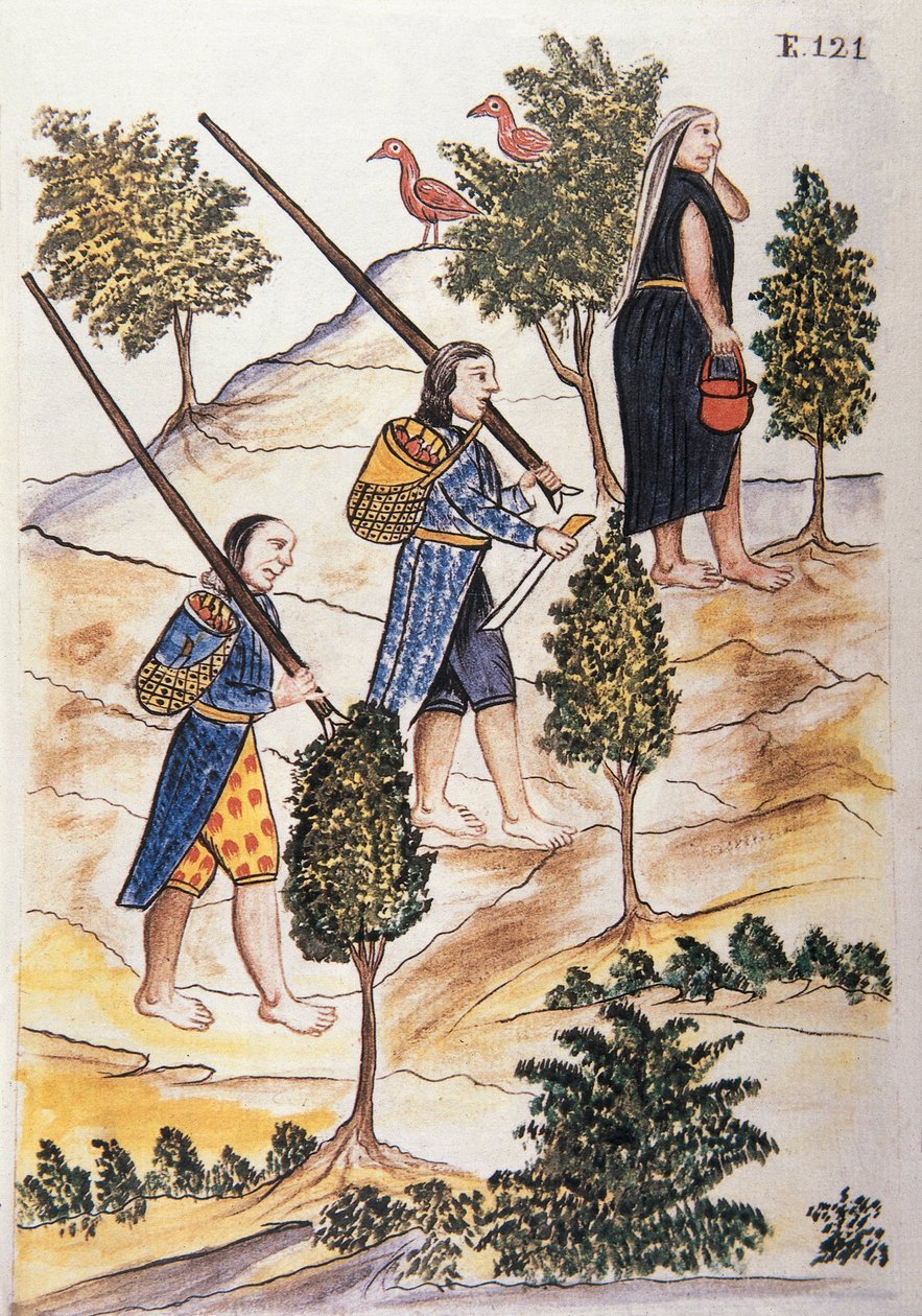 Motilones-Indianer gehen auf die Jagd, aus dem Buch "Trujillo del Peru" oder "Códice Martínez Compañón", von Baltazar Martinez Compañón y Bujanda, Bischof von Trujillo (1782-1785) von Unknown artist