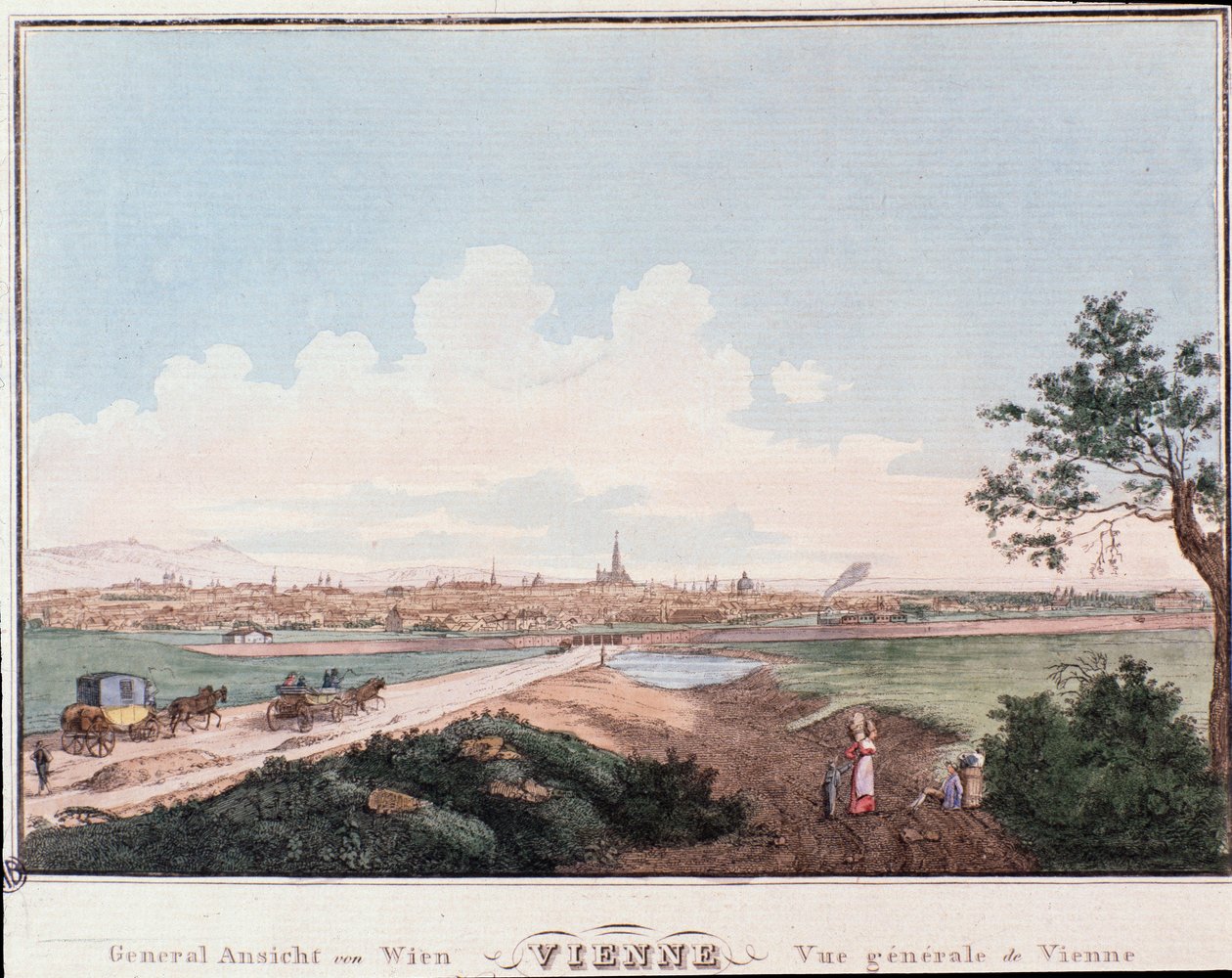 Überblick über die Stadt Wien mit Brücke über die Donau von Unknown artist